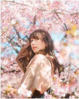 Original small and blurry image before AI enhancement 拡大前の画像(小さくてぼやけた状態)