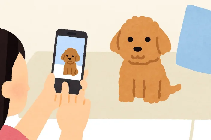自宅で犬の証明写真を撮影している様子
