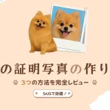 【SNSで話題】犬の証明写真の作り方ガイド｜AI・写真館・自宅撮影を徹底比較