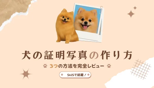 【SNSで話題！】犬の証明写真、作り方の正解はコレだった【3つの方法を完全レビュー】