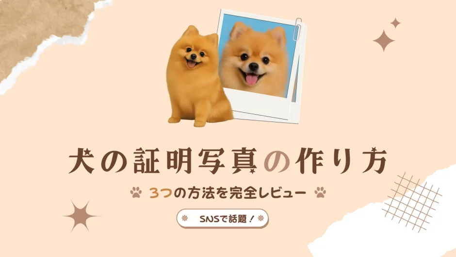 【SNSで話題】犬の証明写真の作り方ガイド｜AI・写真館・自宅撮影を徹底比較