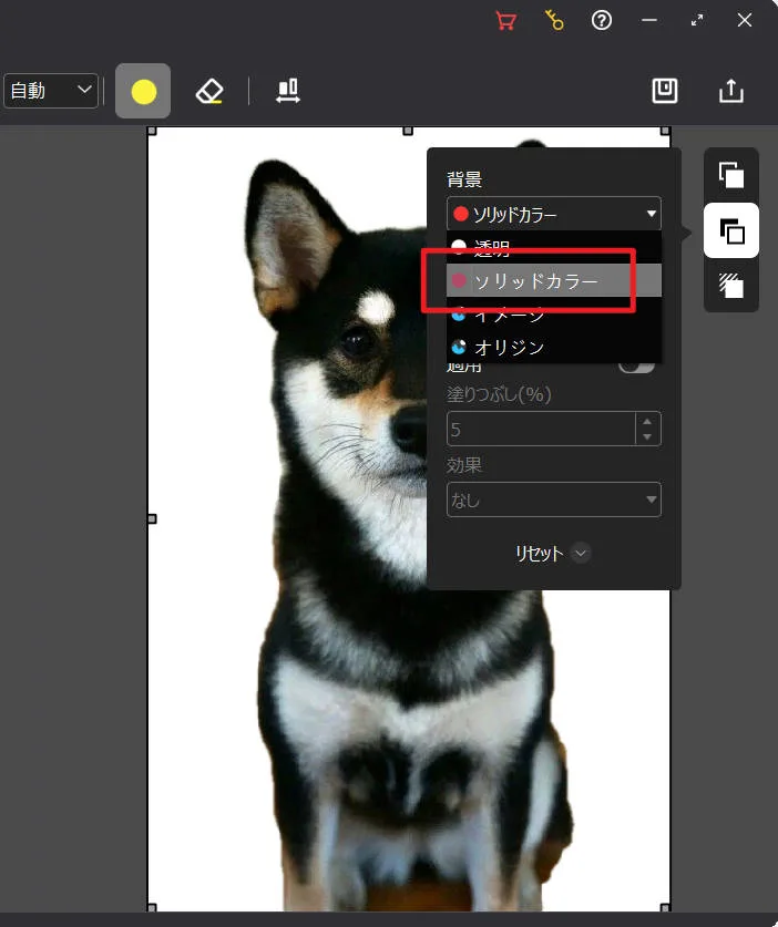 Leawo Photo BG Removerで背景色を水色・白・グレーに変更している画面